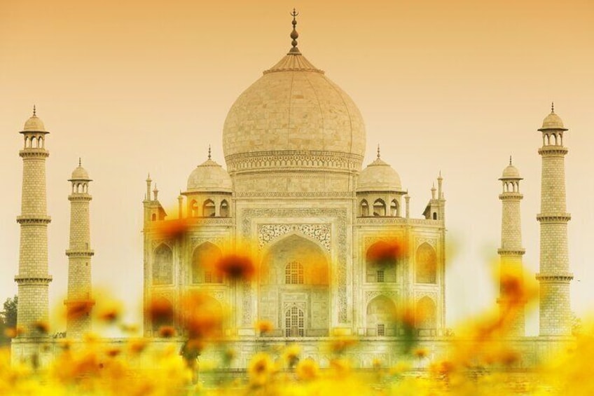 Golden Triangle Tour India