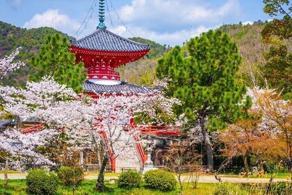 Hidden Temples in Kyoto a Self-Guided Zen Tour