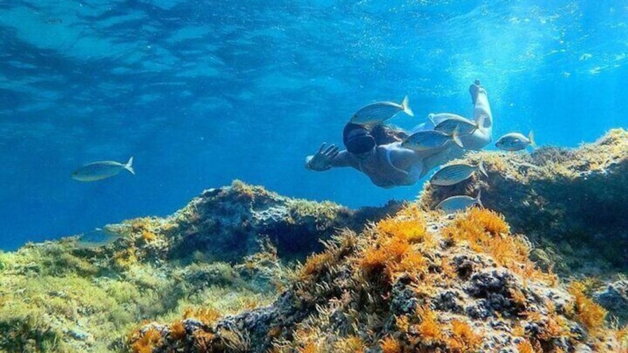 Half Day Cala Gonone Snorkeling in the Orosei Gulf
