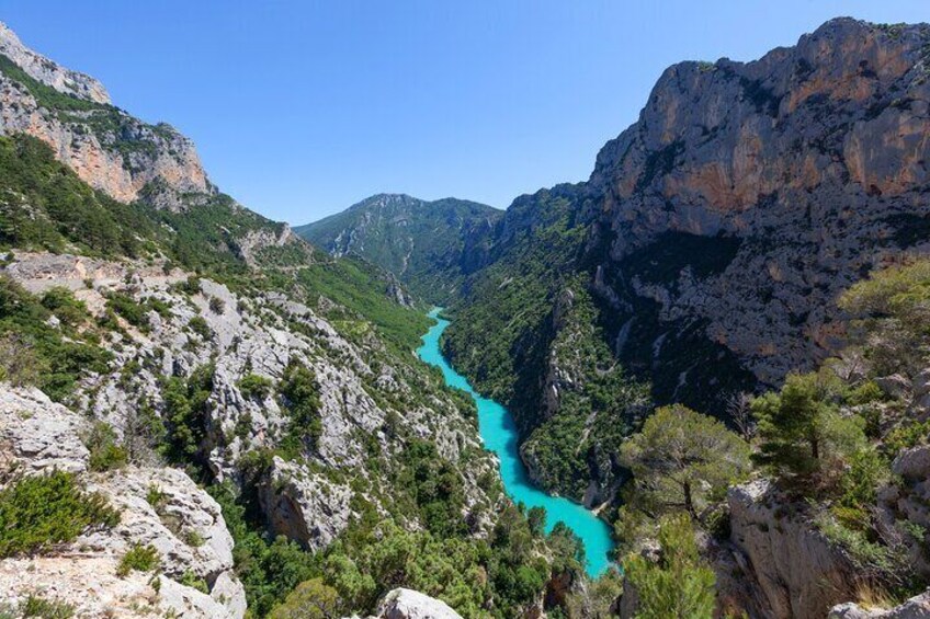 8 Hour Shore Excursion The Lavender of Provence Tour