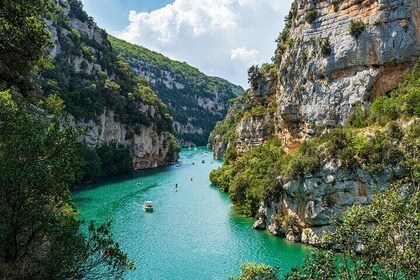 The Lavender of Provence Tour: 8-Hour Shore Excursion