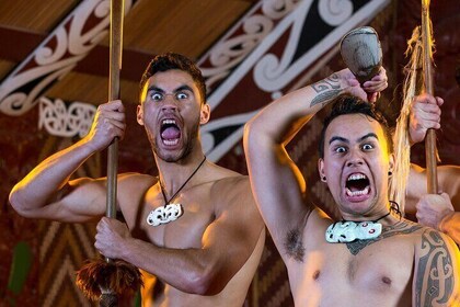 Haka to Waves PRIVATE Auckland West Coast Journey