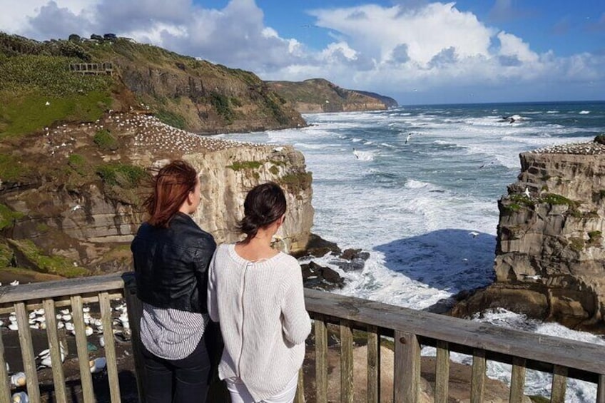 From Haka to Waves Auckland West Coast Journey