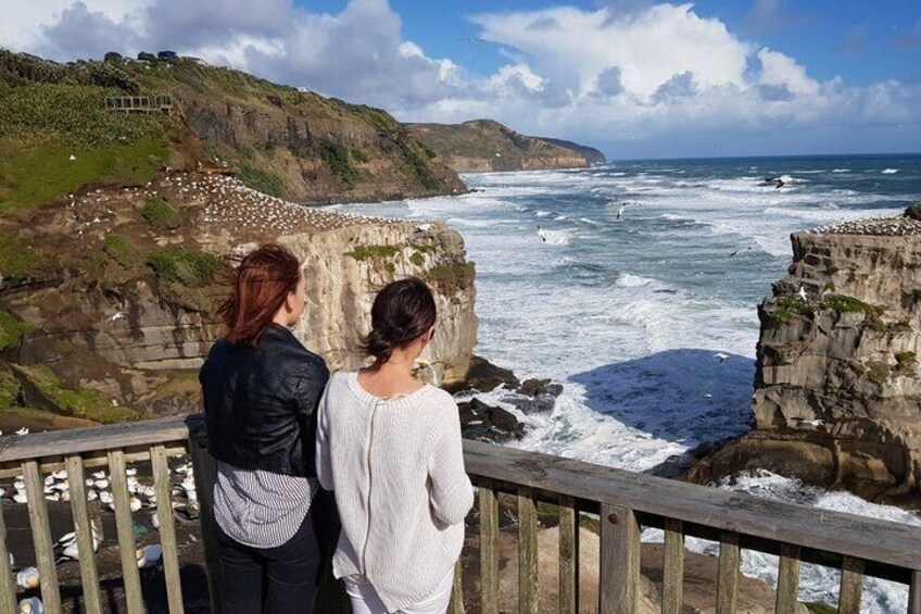 From Haka to Waves Auckland West Coast Journey
