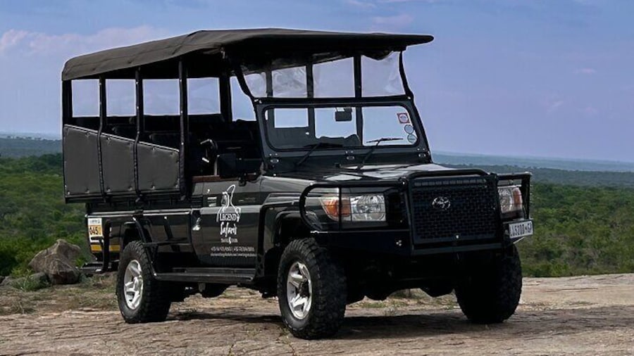 Half Day Kruger Safari Tour from Malelane and Komatipoort