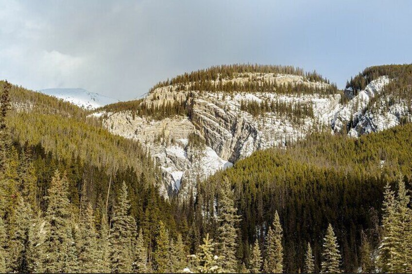 Maligne Valley and Pleckaitis Icewalk 