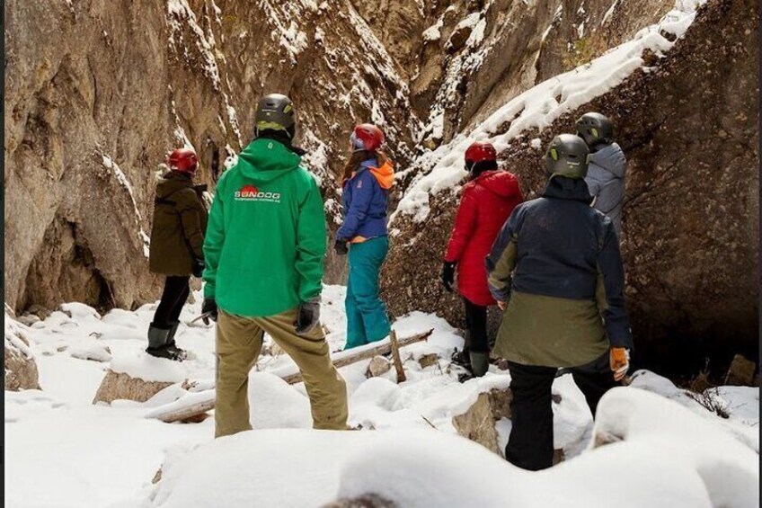 Maligne Valley and Pleckaitis Icewalk 