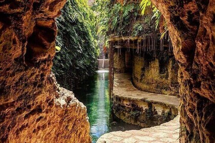 Hacienda and Cenote Mucuyche Tour from Merida