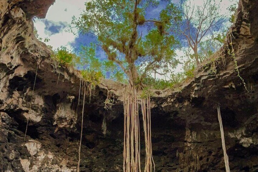 From Merida Tour Tres Cenotes