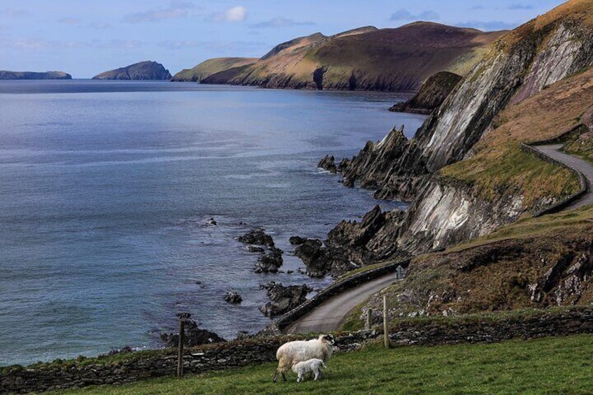 Wild Atlantic Way 5 Day Private Tour Connemara Cliffs Galway