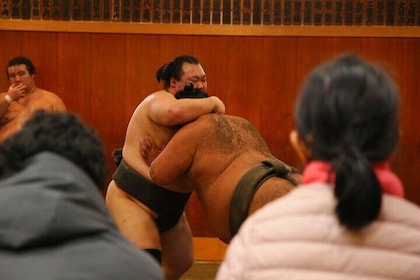 Sumo Morning Practice, Japanese Brunch and Public Bath Experience