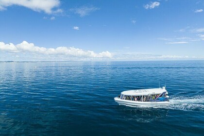 Hervey Bay Nature Cruise