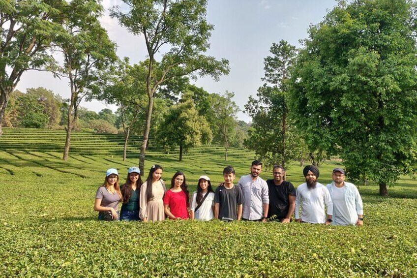 Tea Tours in Palampur ^ Dharamshala