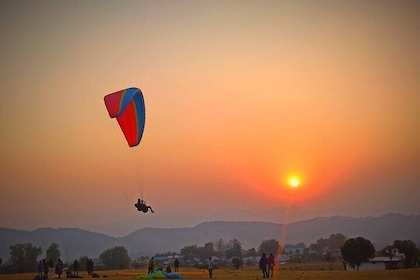 Palampur and Bir Tour, Tea Gardens, Adventures and Paragliding