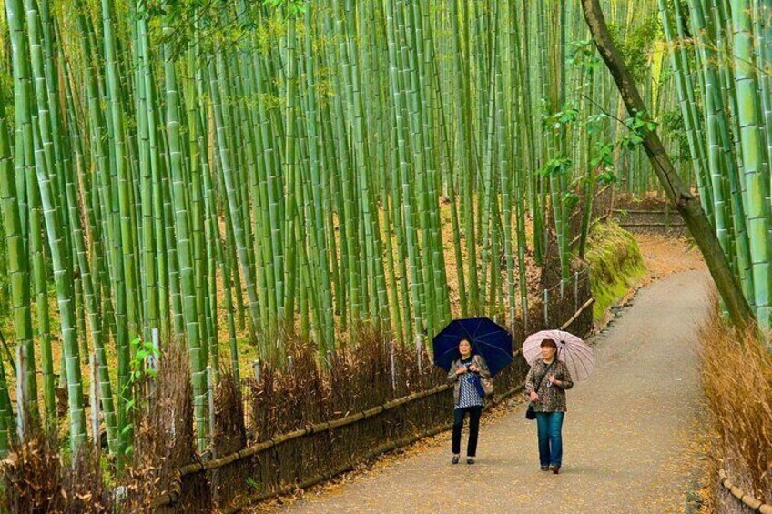 Arashiyama, Yasaka Shrine, Hanamikoji, Todaiji Temple day Tour