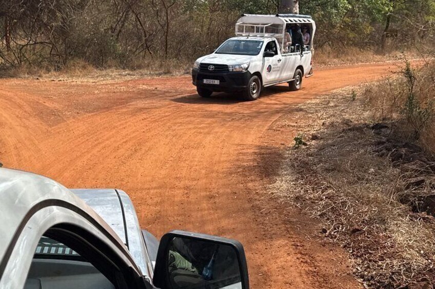 Discover Bandia Safari and The Lagoon of Somone