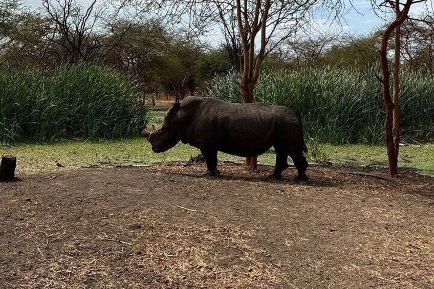 Discover Bandia Safari and The Lagoon of Somone