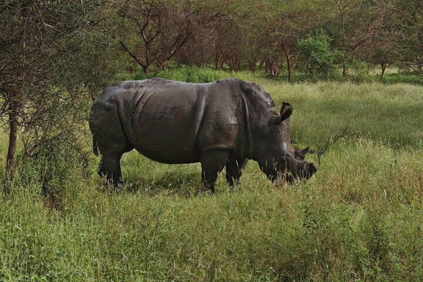 Discover Bandia Safari and The Lagoon of Somone