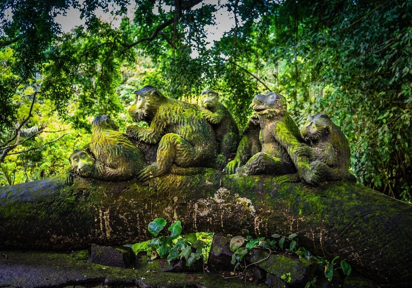 Southern Bali Beaches Tour