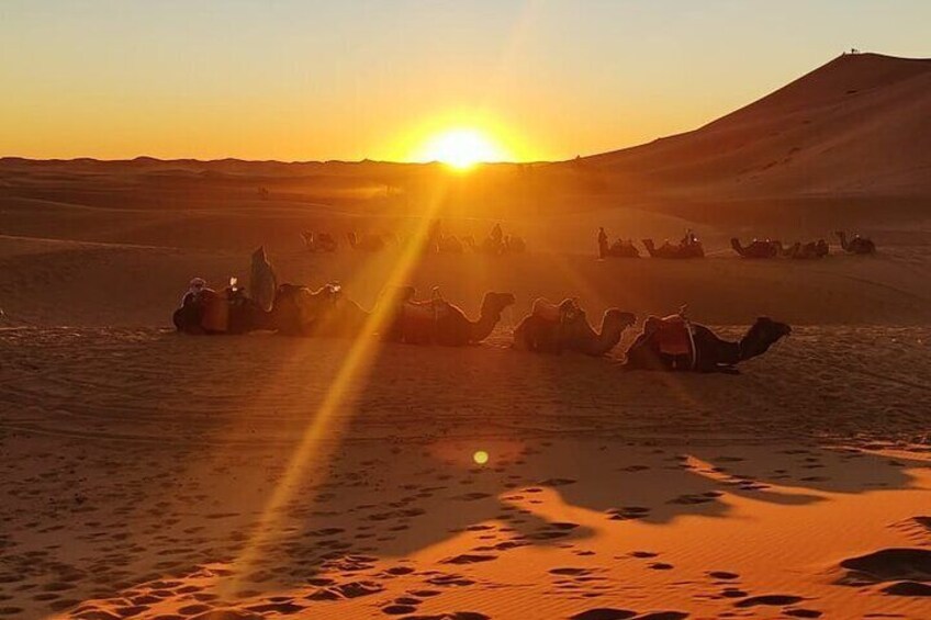 3 day round Trip to Merzouga Desert and camel trek in Marrakech