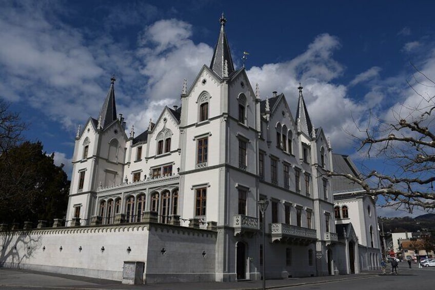 Private Walking Tour in Vevey