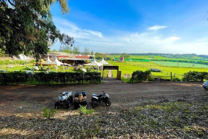 Quad ride to Haouzia