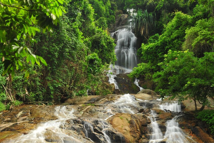 Koh Samui Half-Day Safari: Waterfalls & Island Beauty