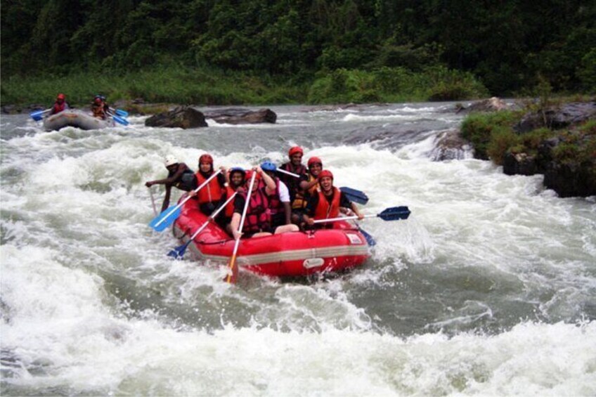 Kithulgala White Water Rafting Adventure Day Tour From Kandy