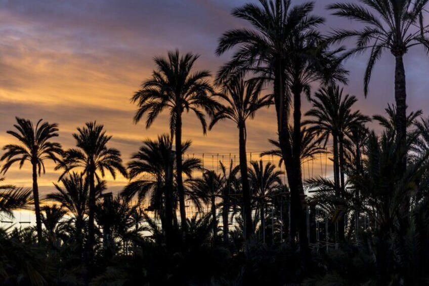  Marrakech Medina Walking Tour Experience
