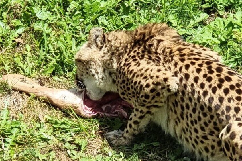 Sundays River Cruise and Kragga Kamma Game Park Experience