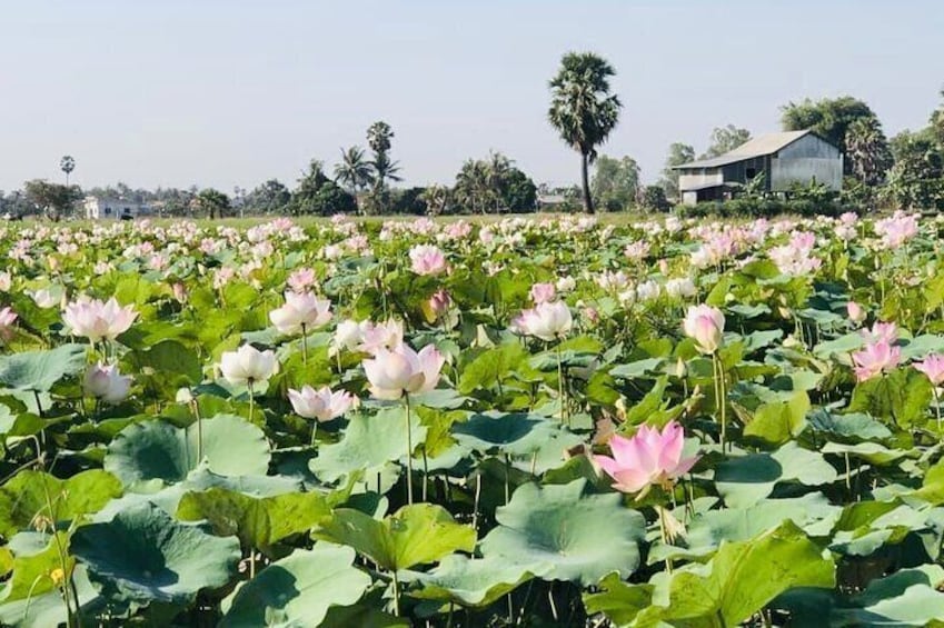 23 days | Best Family Adventures in Cambodia 