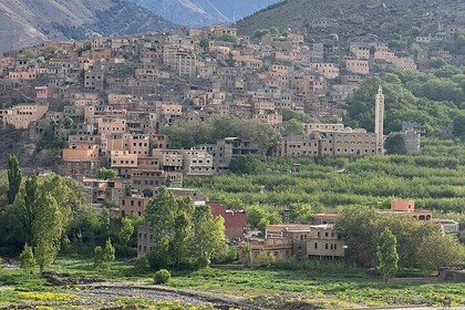 Anima Garden and Atlas Mountains Picnic