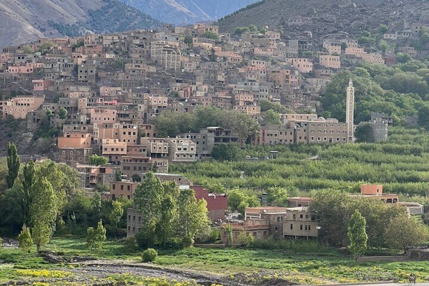 Anima Garden and Atlas Mountains Picnic