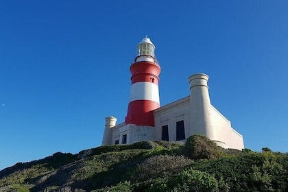 Private Cape Agulhas Tour