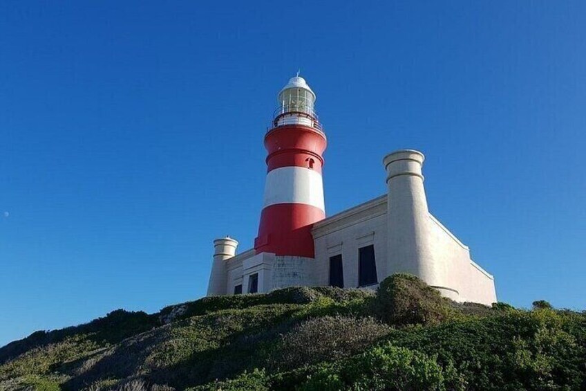 Private Cape Agulhas Tour