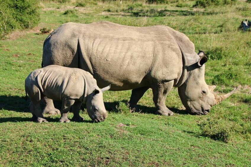  6 nights 5 days luxury Kruger park tour