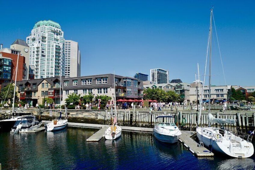 Halifax Walking Tour from Cruise Port – 2 Hours of Local Charm