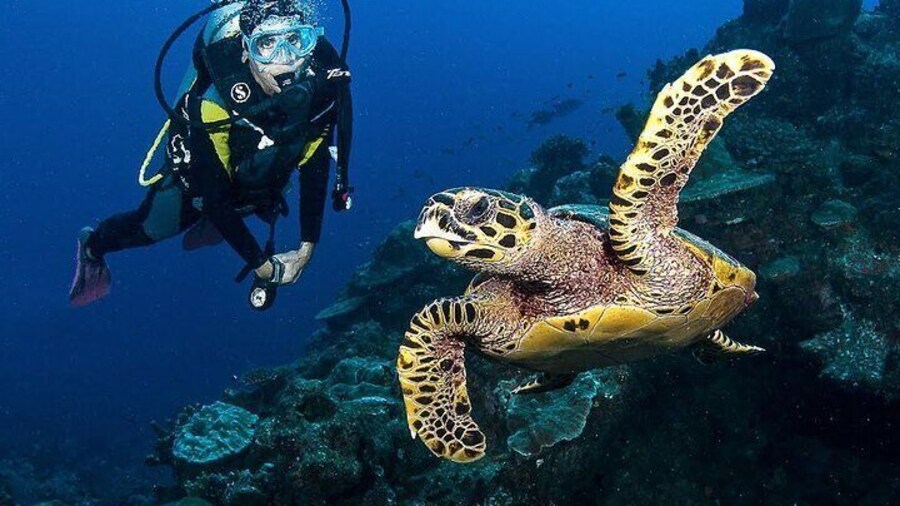Zakynthos Scuba Diving Experience with Underwater Photos
