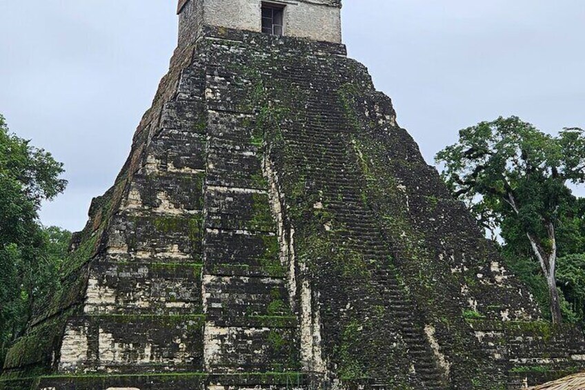 Tikal Guided Tour from Mayan World Airport all inclusive