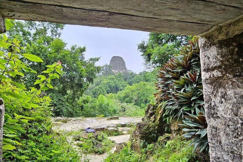 Tikal Guided Tour from Mayan World Airport all inclusive