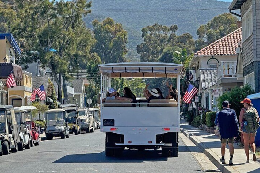 Catalina Island City and Scenic Mt Ada Tour 