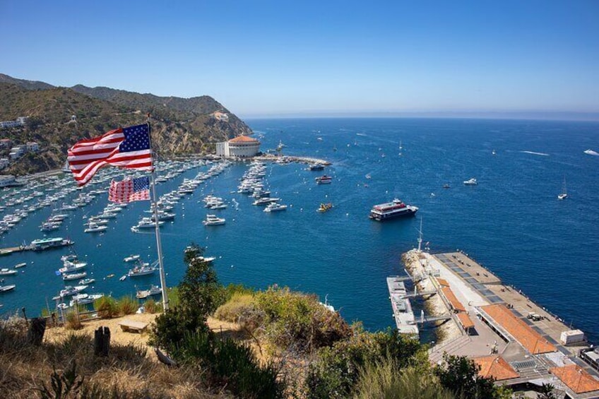 Catalina Island City and Scenic Mt Ada Tour 