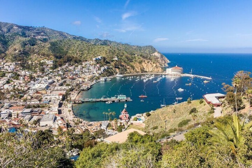 Catalina Island City and Scenic Mt Ada Tour 