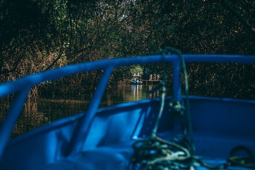 Mancora | Puerto Pizarro Tour | Mangrove Mysteries