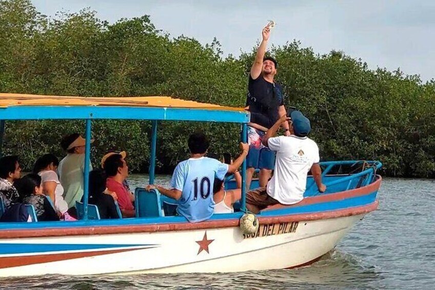 Mancora | Puerto Pizarro Tour | Mangrove Mysteries