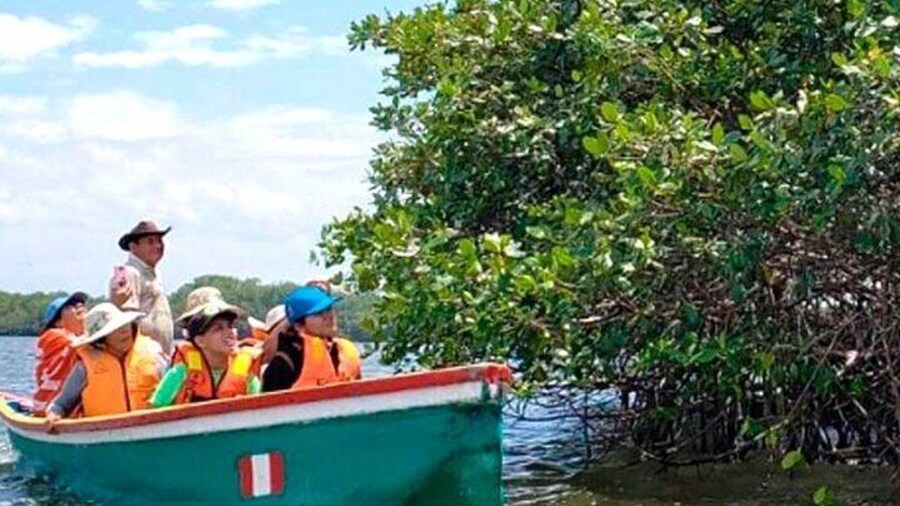 Mancora | Puerto Pizarro Tour | Mangrove Mysteries