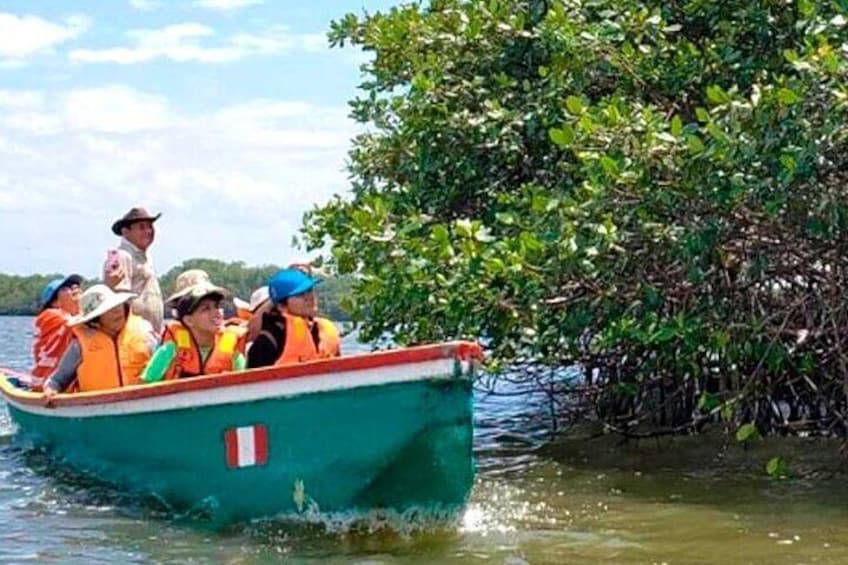 Mancora | Puerto Pizarro Tour | Mangrove Mysteries