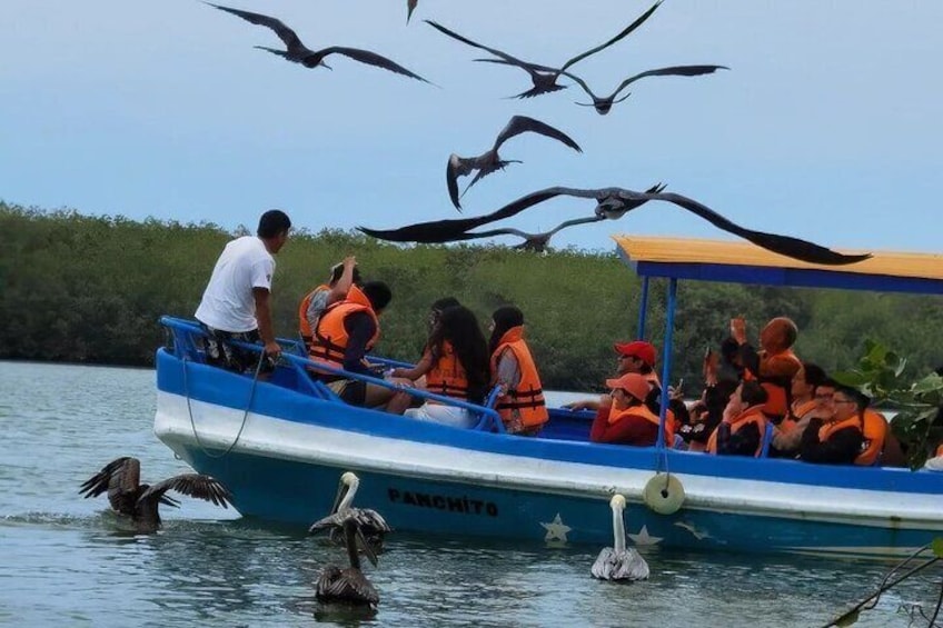 Mancora | Puerto Pizarro Tour | Mangrove Mysteries