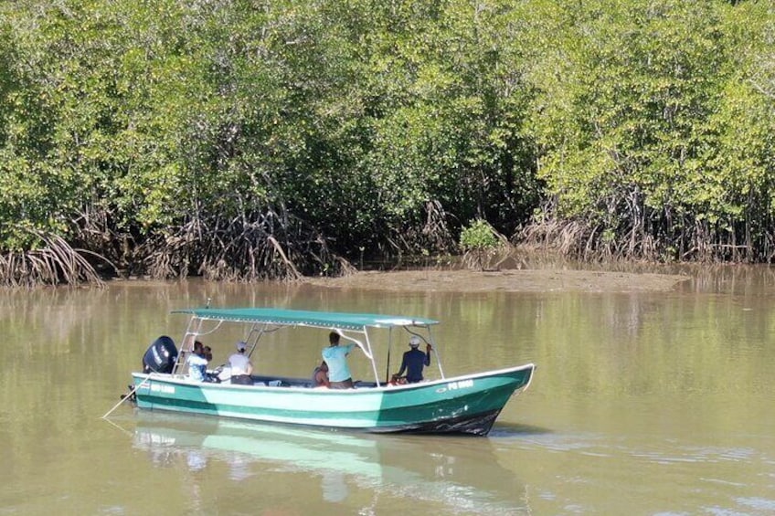 Private Boat Tour and Tapas on Golfo Dulce