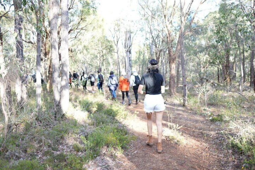 Multi Day Customizable Outback Hiking Adventure Bibbulmun Tour